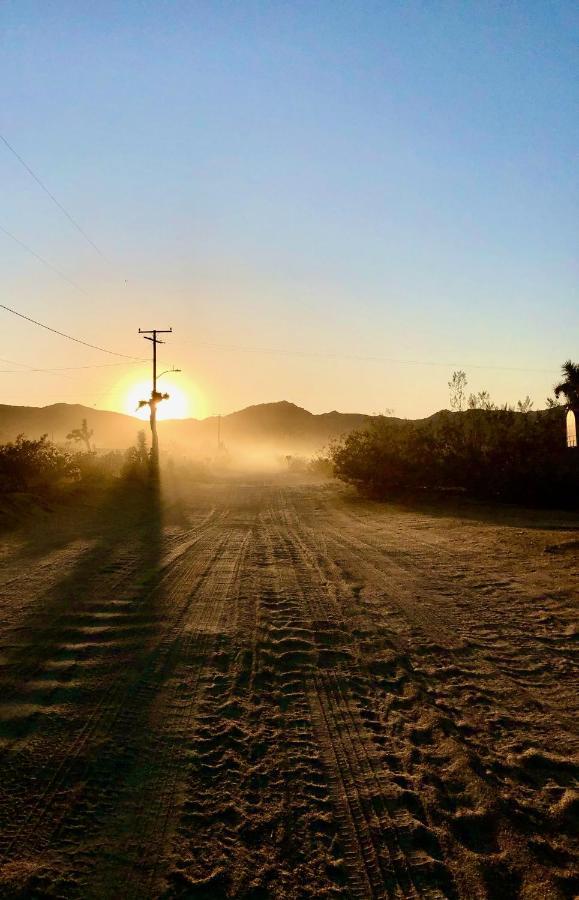 Popular Homestead! Location, Stargaze, Views! Joshua Tree Eksteriør billede