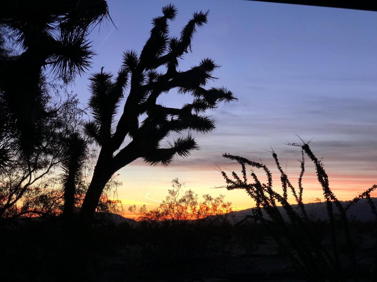 Popular Homestead! Location, Stargaze, Views! Joshua Tree Eksteriør billede