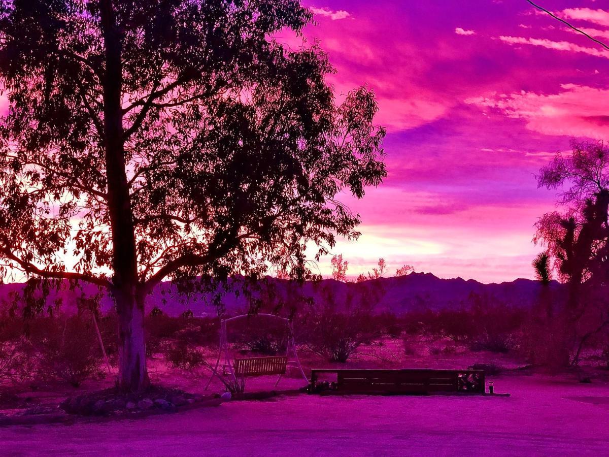 Popular Homestead! Location, Stargaze, Views! Joshua Tree Eksteriør billede