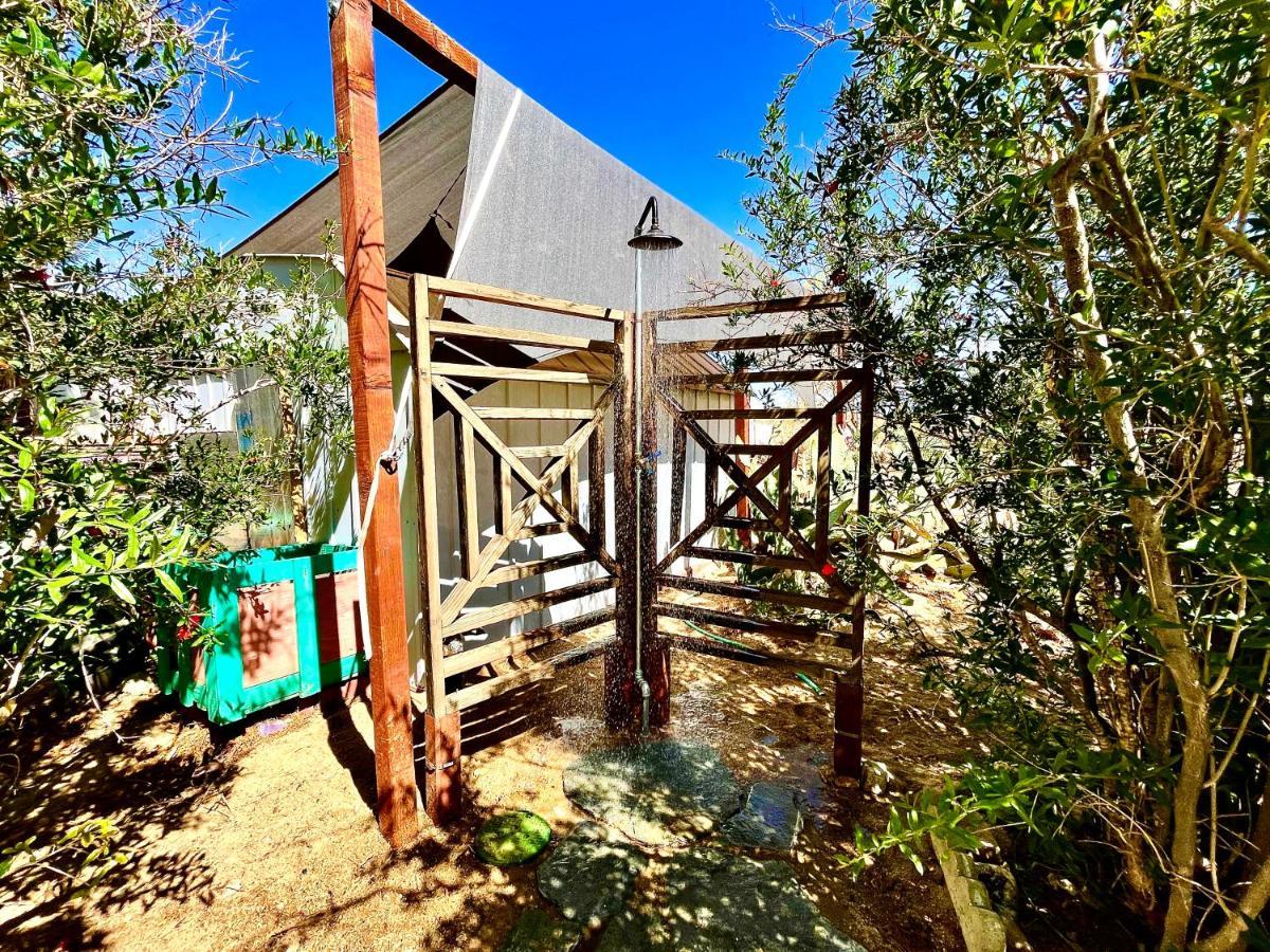 Popular Homestead! Location, Stargaze, Views! Joshua Tree Eksteriør billede