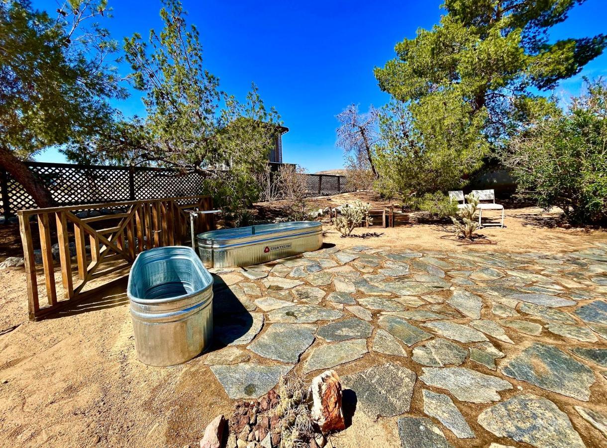 Popular Homestead! Location, Stargaze, Views! Joshua Tree Eksteriør billede