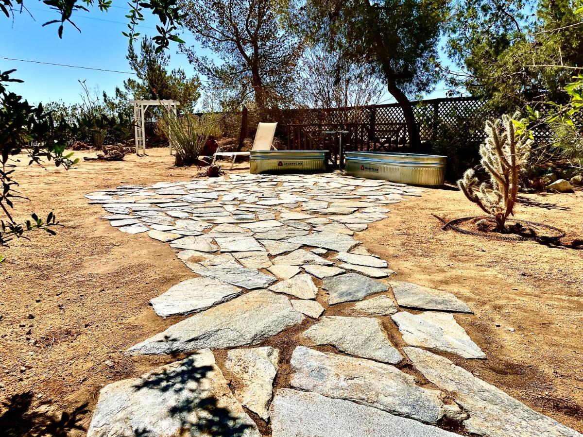 Popular Homestead! Location, Stargaze, Views! Joshua Tree Eksteriør billede