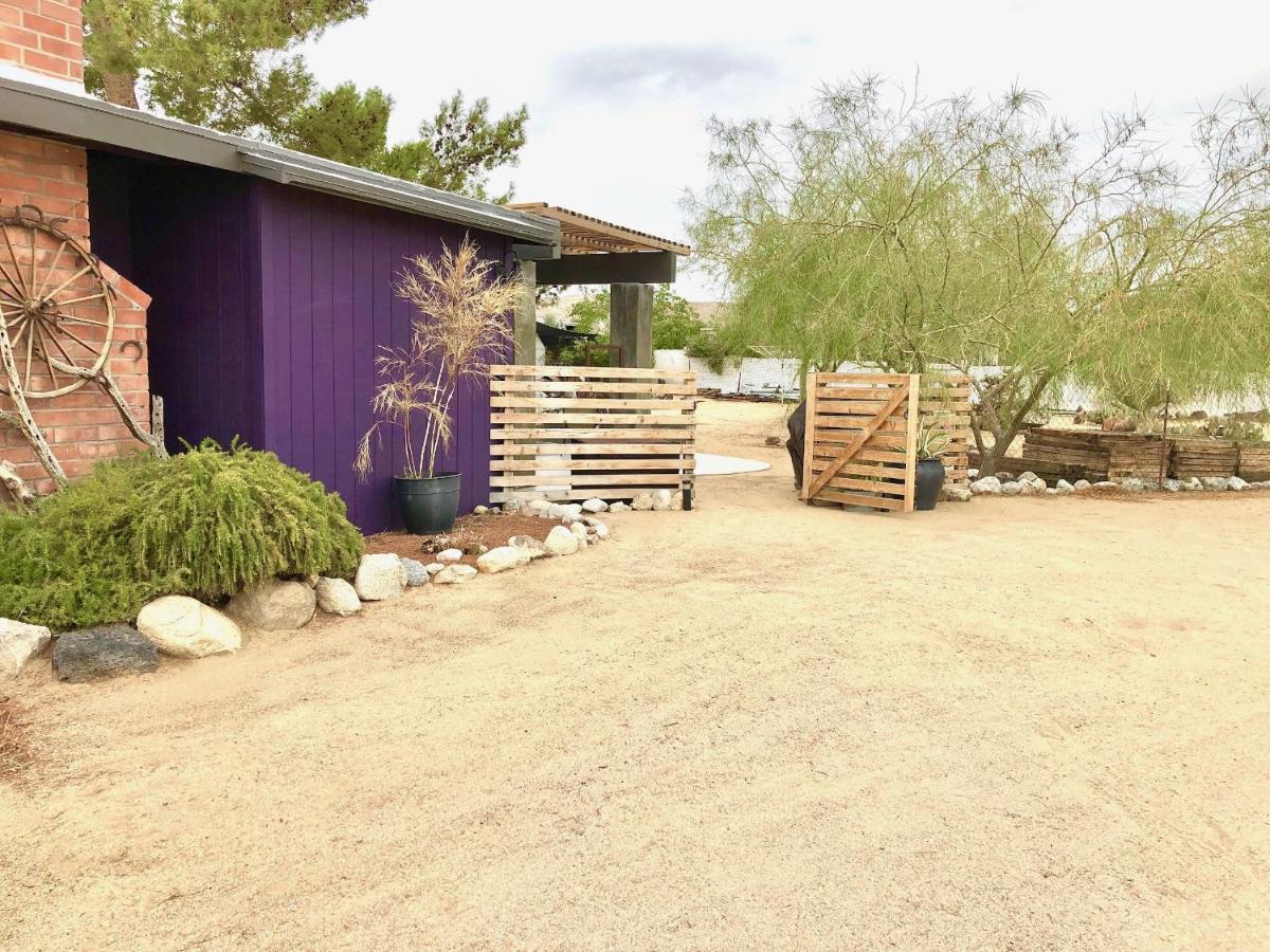 Popular Homestead! Location, Stargaze, Views! Joshua Tree Eksteriør billede